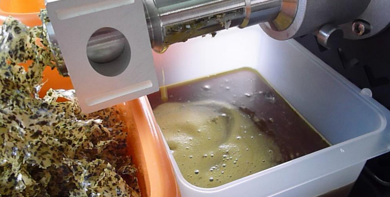 Extractor ulei din seminte de dovleac fara coaja Styria